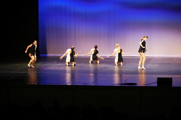 Keywords: Sofia_C;Katelyn_L;Elizabeth_M;Ashley_S;Taylor_S