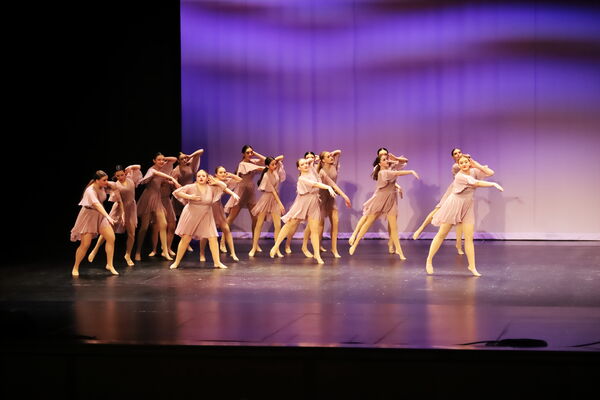 Keywords: Sofia_C;Georgia_C;Elena_F;Payten_G;Abby_H;Lauren_H;Lola_H;Halie_J;Adela_J;Meghan_K;Olivia_K;Rosie_K;Jessica_M;Elizabeth_M;Alex_P;Ella_S