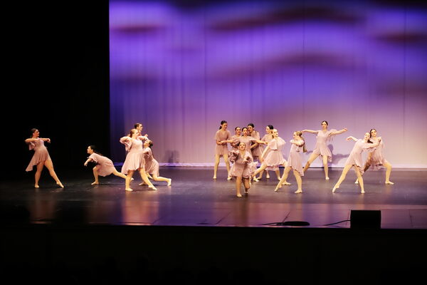 Keywords: Sofia_C;Georgia_C;Elena_F;Payten_G;Abby_H;Lauren_H;Lola_H;Halie_J;Adela_J;Meghan_K;Olivia_K;Rosie_K;Jessica_M;Elizabeth_M;Alex_P;Ella_S