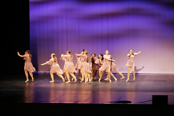 Keywords: Sofia_C;Georgia_C;Elena_F;Payten_G;Abby_H;Lauren_H;Lola_H;Halie_J;Adela_J;Meghan_K;Olivia_K;Rosie_K;Jessica_M;Elizabeth_M;Alex_P;Ella_S