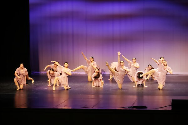 Keywords: Sofia_C;Georgia_C;Elena_F;Payten_G;Abby_H;Lauren_H;Lola_H;Halie_J;Adela_J;Meghan_K;Olivia_K;Rosie_K;Jessica_M;Elizabeth_M;Alex_P;Ella_S