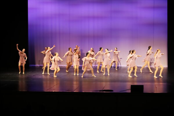 Keywords: Sofia_C;Georgia_C;Elena_F;Payten_G;Abby_H;Lauren_H;Lola_H;Halie_J;Adela_J;Meghan_K;Olivia_K;Rosie_K;Jessica_M;Elizabeth_M;Alex_P;Ella_S