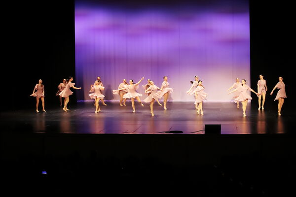 Keywords: Sofia_C;Georgia_C;Elena_F;Payten_G;Abby_H;Lauren_H;Lola_H;Halie_J;Adela_J;Meghan_K;Olivia_K;Rosie_K;Jessica_M;Elizabeth_M;Alex_P;Ella_S