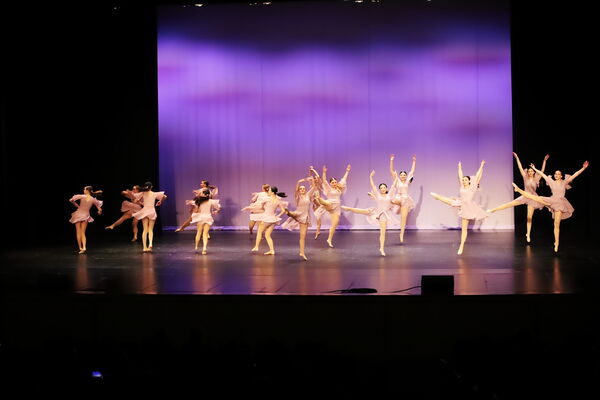 Keywords: Sofia_C;Georgia_C;Elena_F;Payten_G;Abby_H;Lauren_H;Lola_H;Halie_J;Adela_J;Meghan_K;Olivia_K;Rosie_K;Jessica_M;Elizabeth_M;Alex_P;Ella_S