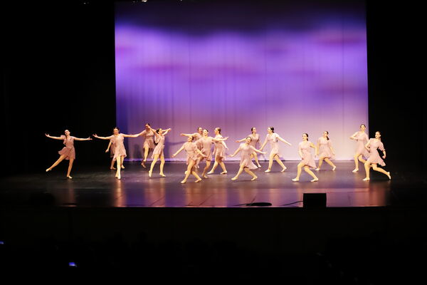 Keywords: Sofia_C;Georgia_C;Elena_F;Payten_G;Abby_H;Lauren_H;Lola_H;Halie_J;Adela_J;Meghan_K;Olivia_K;Rosie_K;Jessica_M;Elizabeth_M;Alex_P;Ella_S