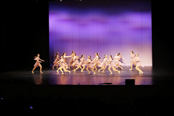 Keywords: Sofia_C;Georgia_C;Elena_F;Payten_G;Abby_H;Lauren_H;Lola_H;Halie_J;Adela_J;Meghan_K;Olivia_K;Rosie_K;Jessica_M;Elizabeth_M;Alex_P;Ella_S