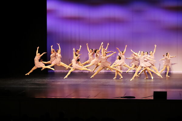 Keywords: Sofia_C;Georgia_C;Elena_F;Payten_G;Abby_H;Lauren_H;Lola_H;Halie_J;Adela_J;Meghan_K;Olivia_K;Rosie_K;Jessica_M;Elizabeth_M;Alex_P;Ella_S