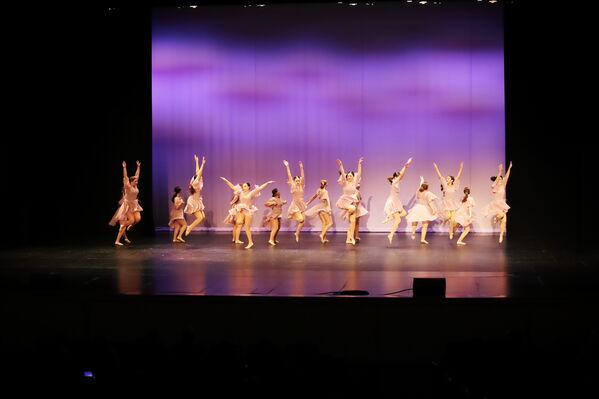 Keywords: Sofia_C;Georgia_C;Elena_F;Payten_G;Abby_H;Lauren_H;Lola_H;Halie_J;Adela_J;Meghan_K;Olivia_K;Rosie_K;Jessica_M;Elizabeth_M;Alex_P;Ella_S