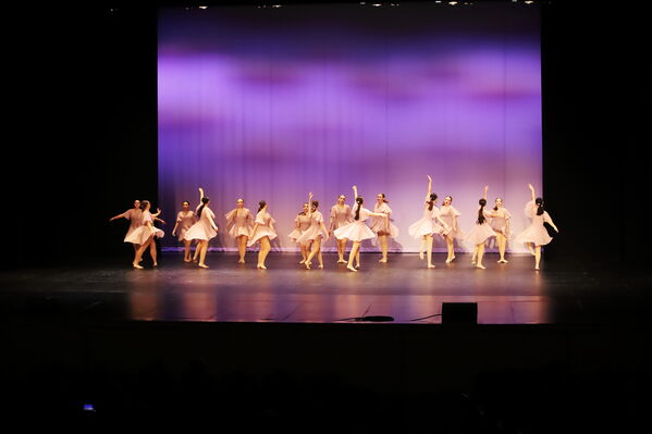 Keywords: Sofia_C;Georgia_C;Elena_F;Payten_G;Abby_H;Lauren_H;Lola_H;Halie_J;Adela_J;Meghan_K;Olivia_K;Rosie_K;Jessica_M;Elizabeth_M;Alex_P;Ella_S