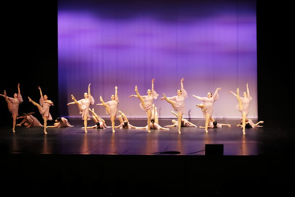 Keywords: Sofia_C;Georgia_C;Elena_F;Payten_G;Abby_H;Lauren_H;Lola_H;Halie_J;Adela_J;Meghan_K;Olivia_K;Rosie_K;Jessica_M;Elizabeth_M;Alex_P;Ella_S