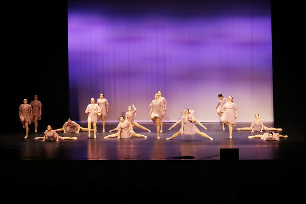 Keywords: Sofia_C;Georgia_C;Elena_F;Payten_G;Abby_H;Lauren_H;Lola_H;Halie_J;Adela_J;Meghan_K;Olivia_K;Rosie_K;Jessica_M;Elizabeth_M;Alex_P;Ella_S