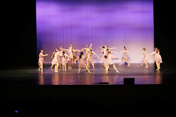 Keywords: Sofia_C;Georgia_C;Elena_F;Payten_G;Abby_H;Lauren_H;Lola_H;Halie_J;Adela_J;Meghan_K;Olivia_K;Rosie_K;Jessica_M;Elizabeth_M;Alex_P;Ella_S