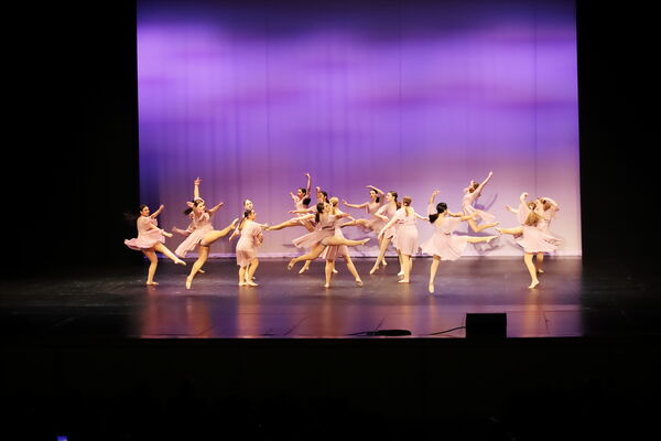 Keywords: Sofia_C;Georgia_C;Elena_F;Payten_G;Abby_H;Lauren_H;Lola_H;Halie_J;Adela_J;Meghan_K;Olivia_K;Rosie_K;Jessica_M;Elizabeth_M;Alex_P;Ella_S