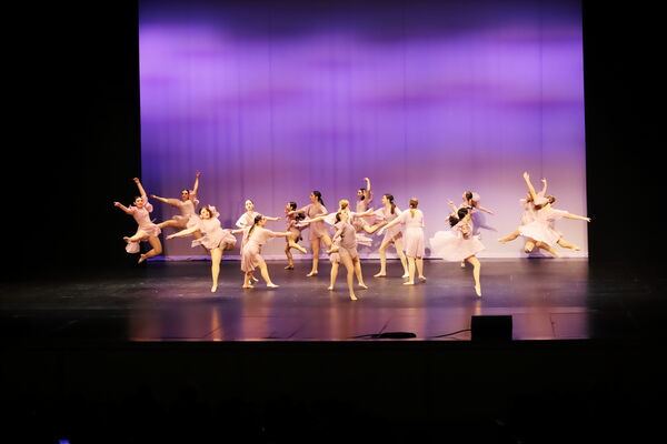 Keywords: Sofia_C;Georgia_C;Elena_F;Payten_G;Abby_H;Lauren_H;Lola_H;Halie_J;Adela_J;Meghan_K;Olivia_K;Rosie_K;Jessica_M;Elizabeth_M;Alex_P;Ella_S