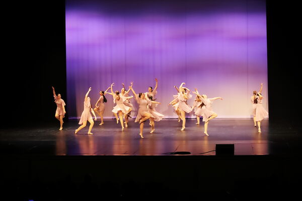 Keywords: Sofia_C;Georgia_C;Elena_F;Payten_G;Abby_H;Lauren_H;Lola_H;Halie_J;Adela_J;Meghan_K;Olivia_K;Rosie_K;Jessica_M;Elizabeth_M;Alex_P;Ella_S