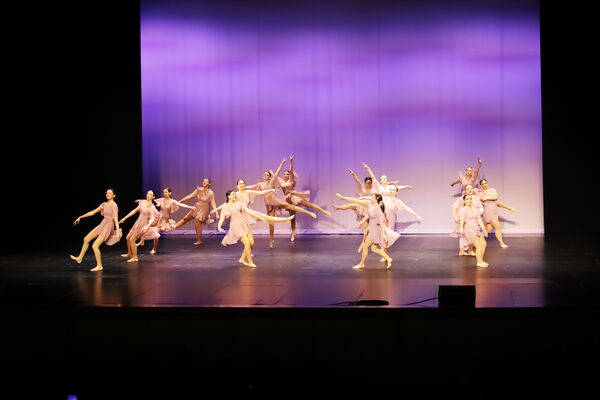 Keywords: Sofia_C;Georgia_C;Elena_F;Payten_G;Abby_H;Lauren_H;Lola_H;Halie_J;Adela_J;Meghan_K;Olivia_K;Rosie_K;Jessica_M;Elizabeth_M;Alex_P;Ella_S