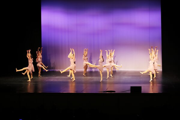 Keywords: Sofia_C;Georgia_C;Elena_F;Payten_G;Abby_H;Lauren_H;Lola_H;Halie_J;Adela_J;Meghan_K;Olivia_K;Rosie_K;Jessica_M;Elizabeth_M;Alex_P;Ella_S