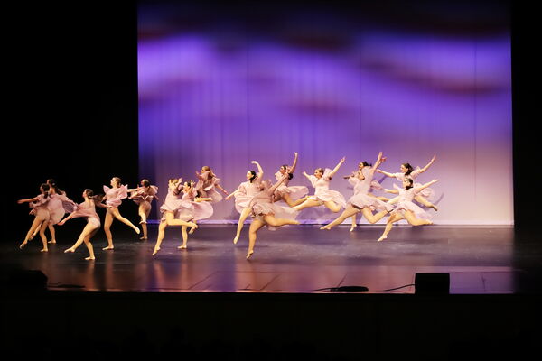 Keywords: Sofia_C;Georgia_C;Elena_F;Payten_G;Abby_H;Lauren_H;Lola_H;Halie_J;Adela_J;Meghan_K;Olivia_K;Rosie_K;Jessica_M;Elizabeth_M;Alex_P;Ella_S