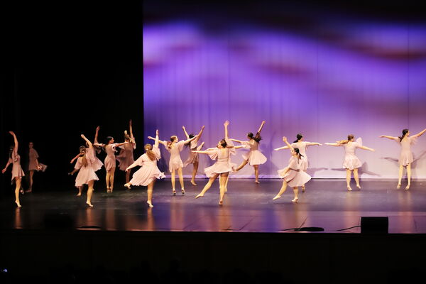 Keywords: Sofia_C;Georgia_C;Elena_F;Payten_G;Abby_H;Lauren_H;Lola_H;Halie_J;Adela_J;Meghan_K;Olivia_K;Rosie_K;Jessica_M;Elizabeth_M;Alex_P;Ella_S