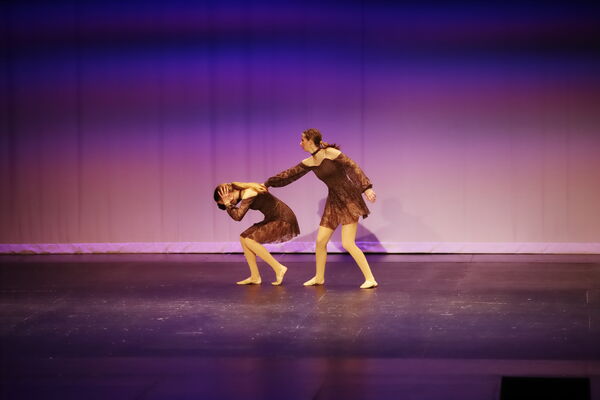 Keywords: Hayley_B;Grace_V