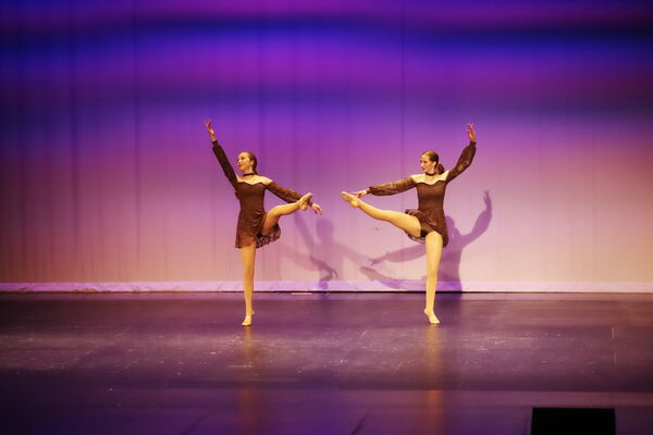 Keywords: Hayley_B;Grace_V