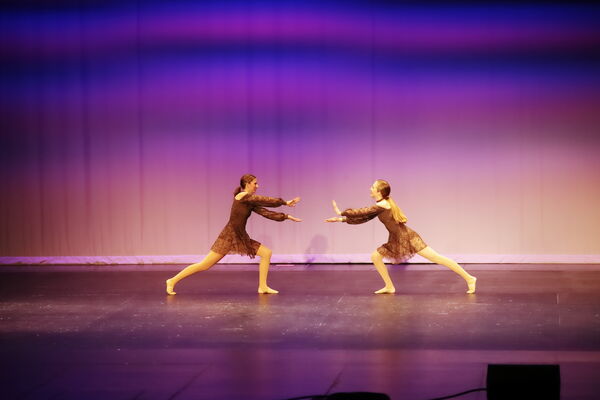 Keywords: Hayley_B;Grace_V