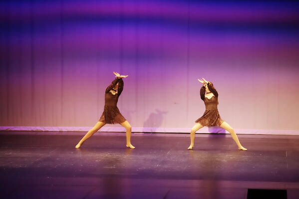 Keywords: Hayley_B;Grace_V