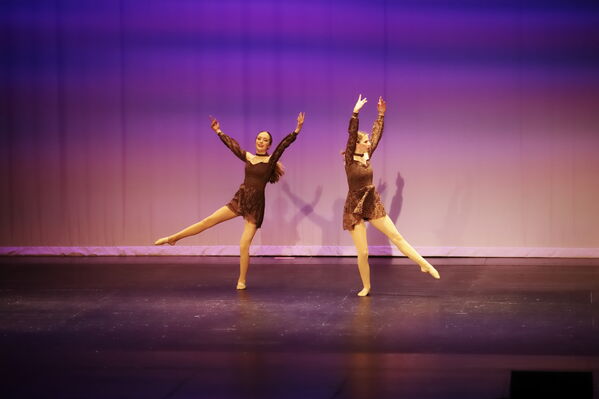 Keywords: Hayley_B;Grace_V