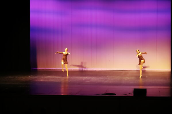 Keywords: Hayley_B;Grace_V