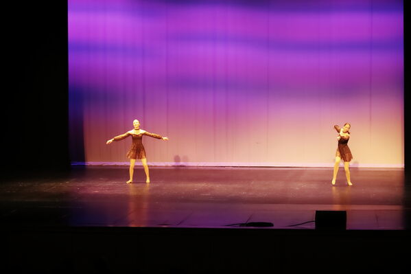 Keywords: Hayley_B;Grace_V