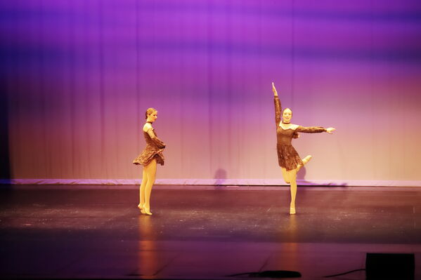 Keywords: Hayley_B;Grace_V