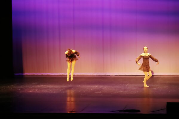 Keywords: Hayley_B;Grace_V