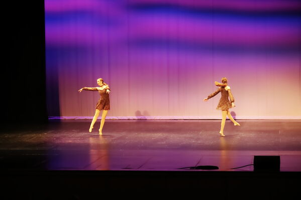 Keywords: Hayley_B;Grace_V