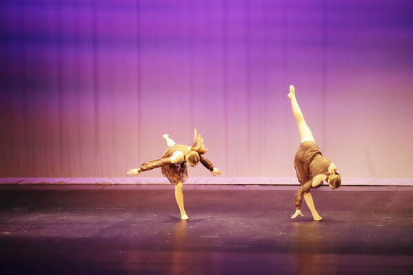 Keywords: Hayley_B;Grace_V