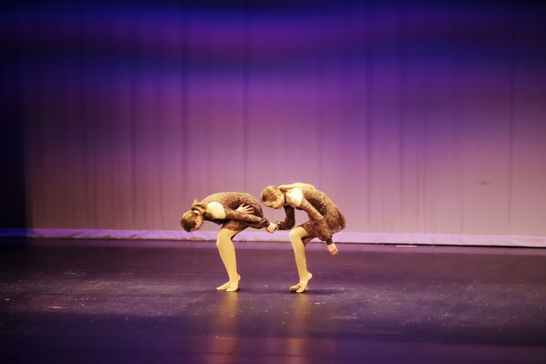 Keywords: Hayley_B;Grace_V