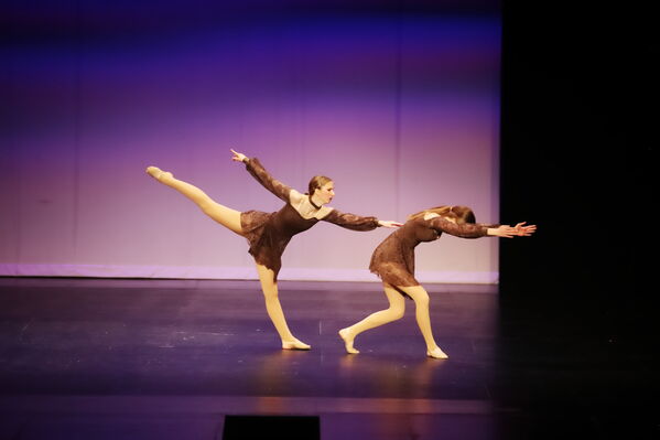 Keywords: Hayley_B;Grace_V