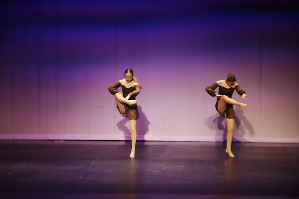 Keywords: Hayley_B;Grace_V