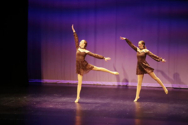 Keywords: Hayley_B;Grace_V