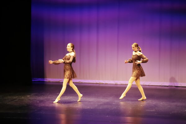 Keywords: Hayley_B;Grace_V