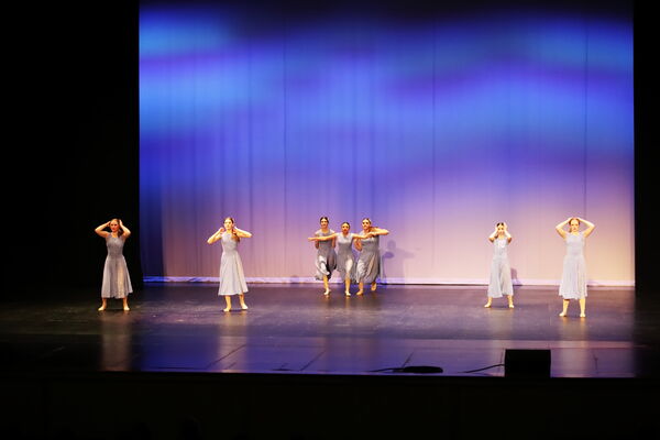 Keywords: Evelyn_C;Lauren_D;Lauren_F;Molly_G;Sydney_K;Erin_K;Nora_R