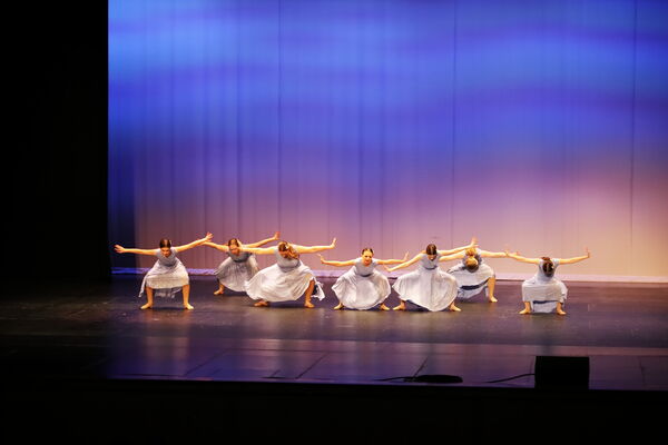 Keywords: Evelyn_C;Lauren_D;Lauren_F;Molly_G;Sydney_K;Erin_K;Nora_R