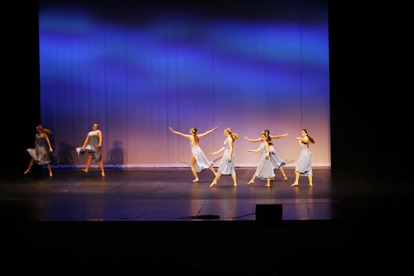 Keywords: Evelyn_C;Lauren_D;Lauren_F;Molly_G;Sydney_K;Erin_K;Nora_R