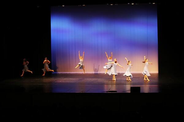 Keywords: Evelyn_C;Lauren_D;Lauren_F;Molly_G;Sydney_K;Erin_K;Nora_R