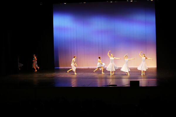 Keywords: Evelyn_C;Lauren_D;Lauren_F;Molly_G;Sydney_K;Erin_K;Nora_R