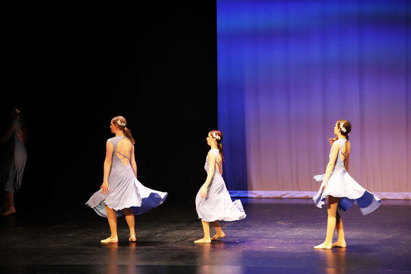 Keywords: Evelyn_C;Lauren_D;Lauren_F;Molly_G;Sydney_K;Erin_K;Nora_R