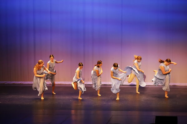 Keywords: Evelyn_C;Lauren_D;Lauren_F;Molly_G;Sydney_K;Erin_K;Nora_R