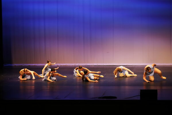 Keywords: Evelyn_C;Lauren_D;Lauren_F;Molly_G;Sydney_K;Erin_K;Nora_R