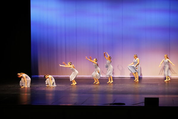 Keywords: Evelyn_C;Lauren_D;Lauren_F;Molly_G;Sydney_K;Erin_K;Nora_R