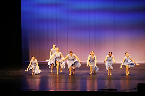 Keywords: Evelyn_C;Lauren_D;Lauren_F;Molly_G;Sydney_K;Erin_K;Nora_R