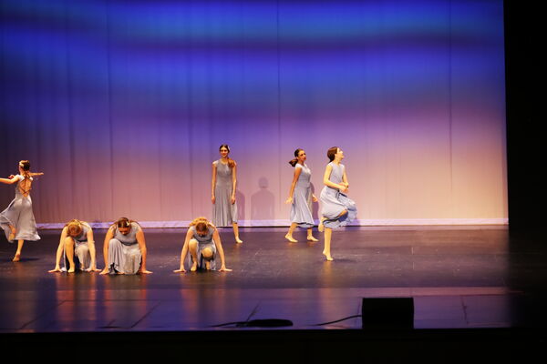 Keywords: Evelyn_C;Lauren_D;Lauren_F;Molly_G;Sydney_K;Erin_K;Nora_R